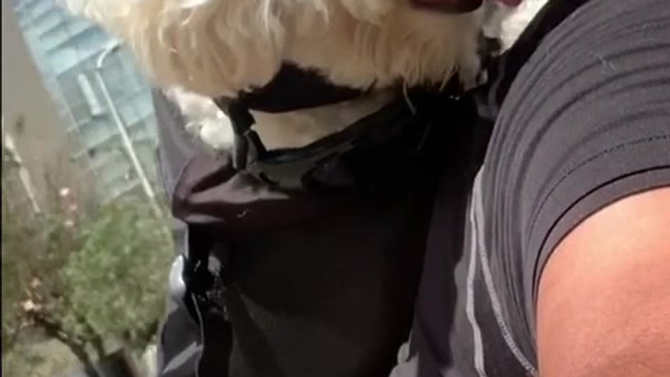 QUE TAL UN PASEO